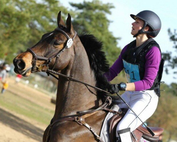 jumper Craky de l'Oiseliere (Selle Français, 2012, from Canturo)