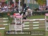 jumper Cocorito Z (Zangersheide riding horse, 2008, from Calvados)