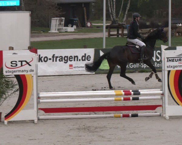 Reitturnier Westergellersen 2024