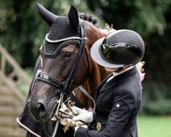 Dressurpferd Lovelle (Rheinländer, 2013, von Lord Loxley I)