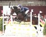 jumper Noah (German Riding Pony, 2005, from Night-Power)