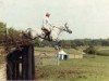 stallion Welton Crackerjack (UK Warmblood, 1974, from Welton Gamful xx)