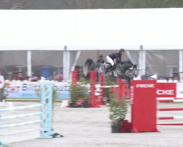 Reitturnier Westergellersen 2024