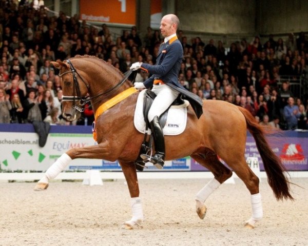 stallion Vivaldi (KWPN (Royal Dutch Sporthorse), 2002, from Krack C)