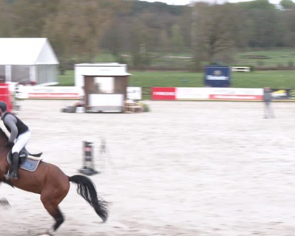 Reitturnier Westergellersen 2024