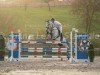 jumper Coole Socke 7 (German Sport Horse, 2016, from Cerousi)