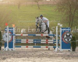 jumper Coole Socke 7 (German Sport Horse, 2016, from Cerousi)