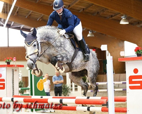 jumper Farah Bonita (German Sport Horse, 2014, from Ciaco's Son S)
