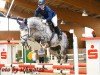 jumper Farah Bonita (German Sport Horse, 2014, from Ciaco's Son S)