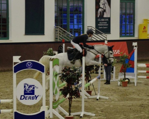 jumper Don Georg (German Riding Pony, 2010, from Don Carlos 185)