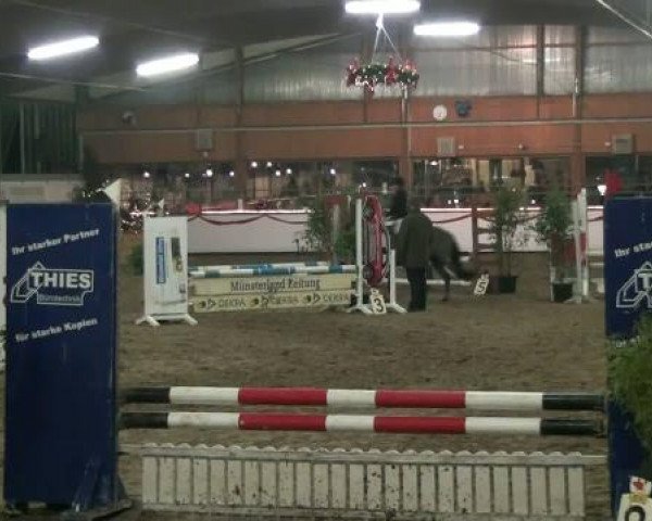 Hallenturnier beim RFV Südlohn-Oeding e.V. 2011