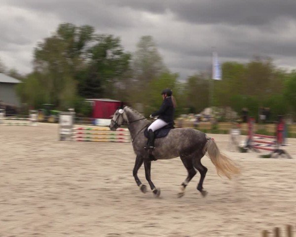 Reitturnier Pietzpuhl 2024
