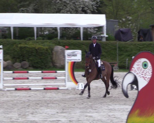 Reitturnier Pietzpuhl 2024