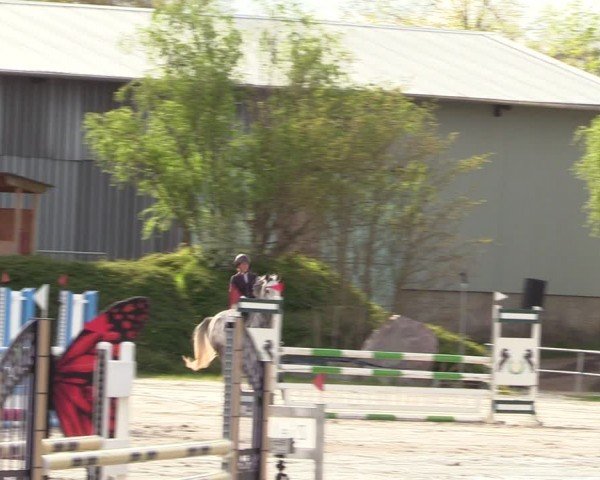 Reitturnier Pietzpuhl 2024