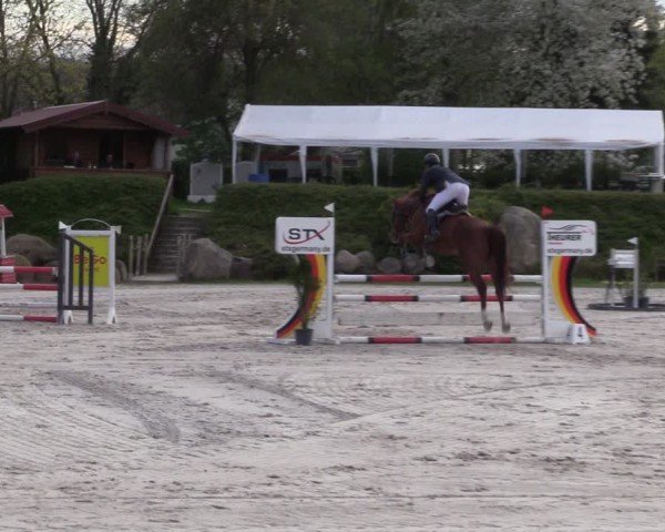 Reitturnier Pietzpuhl 2024