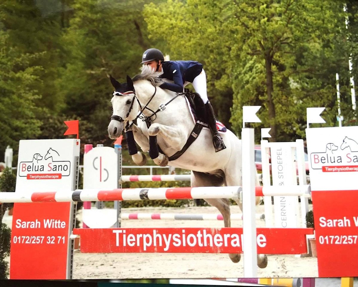 stallion Connery 24 (Westphalian, 2004, from Cornet Obolensky)