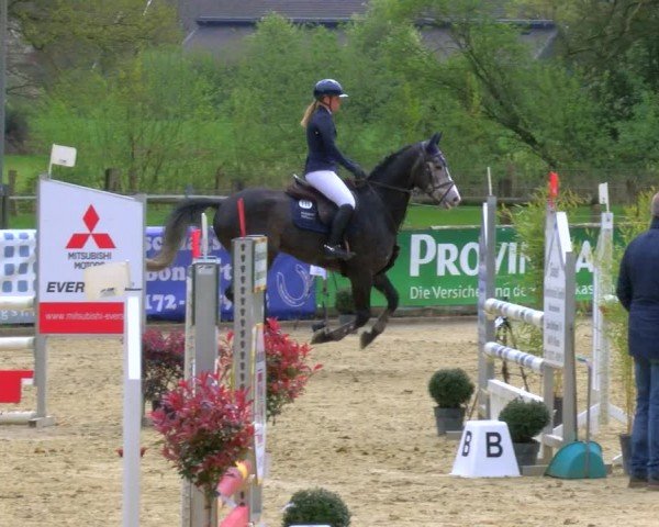 Reitturnier Rhede 2024