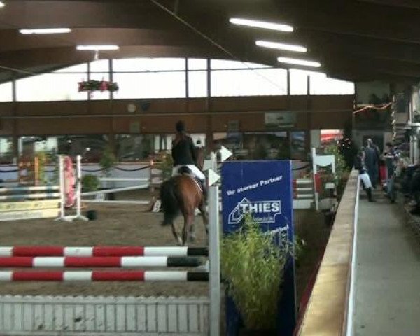 Hallenturnier beim RFV Südlohn-Oeding e.V. 2011