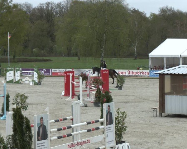 Reitturnier Westergellersen 2024