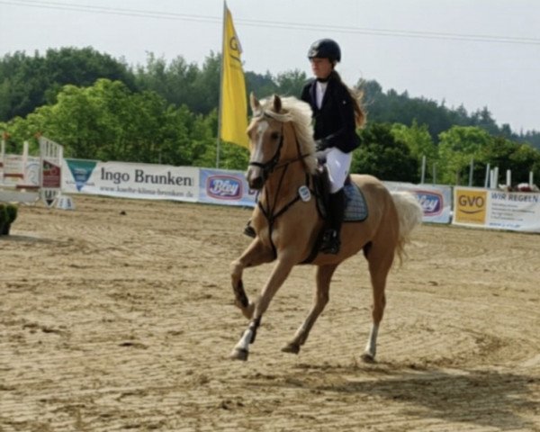 jumper Min Jung 10 (German Riding Pony, 2014, from The Braes My Mobility)