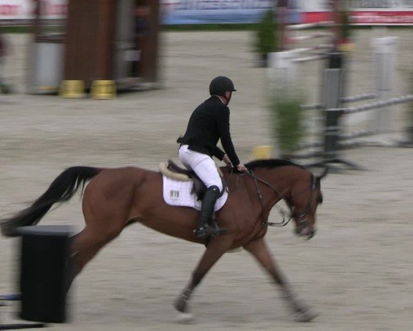 Reitturnier Westergellersen 2024