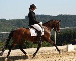 Dressurpferd Champions Velvet Lady (Deutsches Reitpony, 2007, von FS Champion de Luxe)