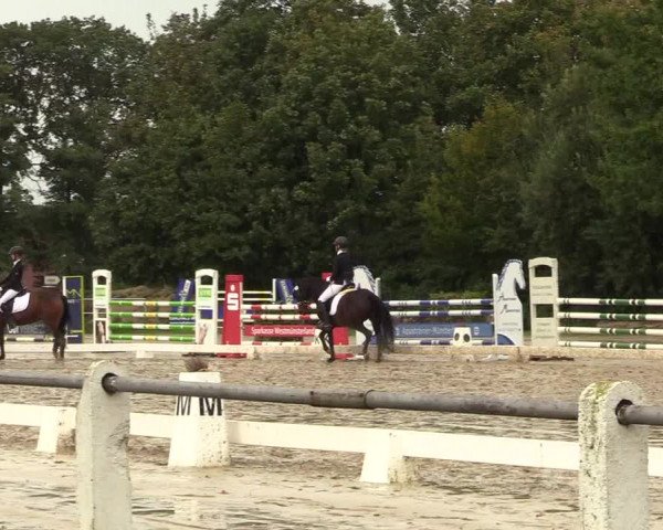 Reitturnier Lüdinghausen 2021