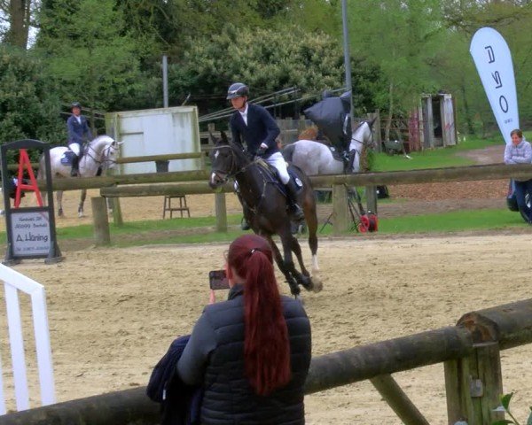 Reitturnier Rhede 2024