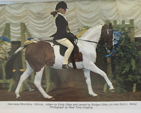 Pferd Harroway Moon Fairy (Arabisches Halbblut / Partbred,  , von Chiddock Fankino)