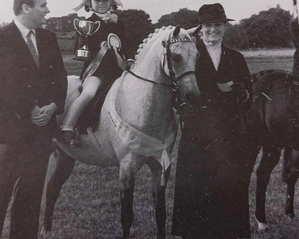 Pferd Firle Yasmina (British Riding Pony, 1982, von Vean Cockalorum)