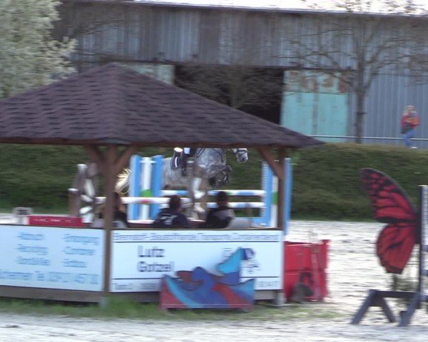 Reitturnier Pietzpuhl 2024