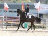 dressage horse Dom Perignon M (Austrian Warmblood, 2016, from Desperado)