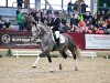 stallion Best Man (German Sport Horse, 2019, from Belantis)