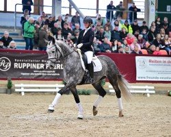 stallion Best Man (German Sport Horse, 2019, from Belantis)