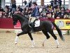 stallion Zalasar (Hanoverian, 2020, from Blue Hors Zackerey)