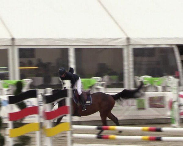Lenklarer Reitertage Werne 2024