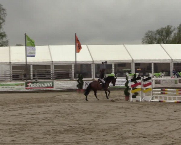 Lenklarer Reitertage Werne 2024