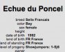 broodmare Echue du Poncel (Selle Français, 1992, from Veneur de Baugy)