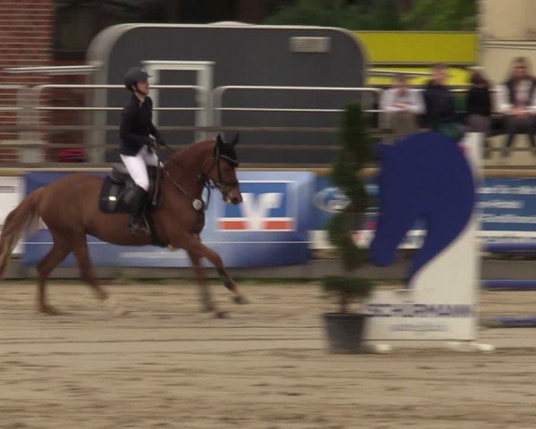 Lenklarer Reitertage Werne 2024