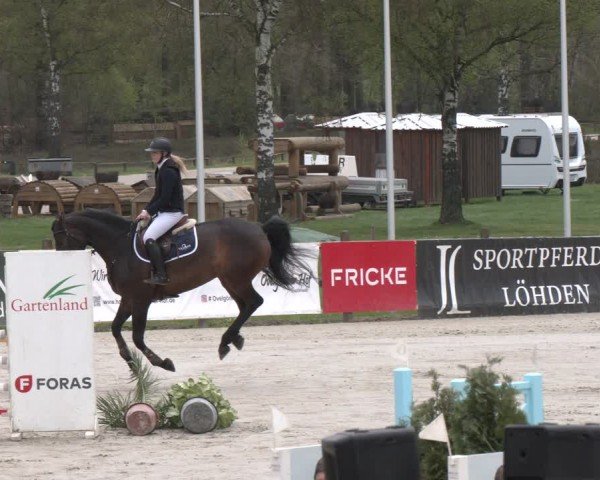 Reitturnier Westergellersen 2024