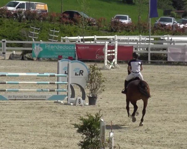 Reitturnier St. Margarethen 2024