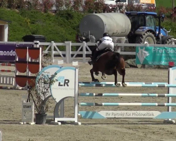 Reitturnier St. Margarethen 2024