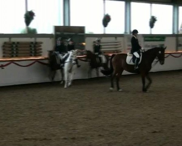 Hallenturnier beim RFV Südlohn-Oeding e.V. 2011