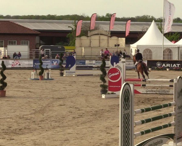Lenklarer Reitertage Werne 2024