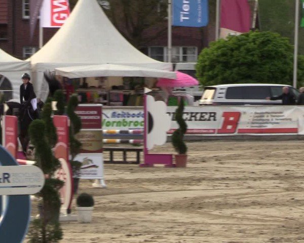 Lenklarer Reitertage Werne 2024