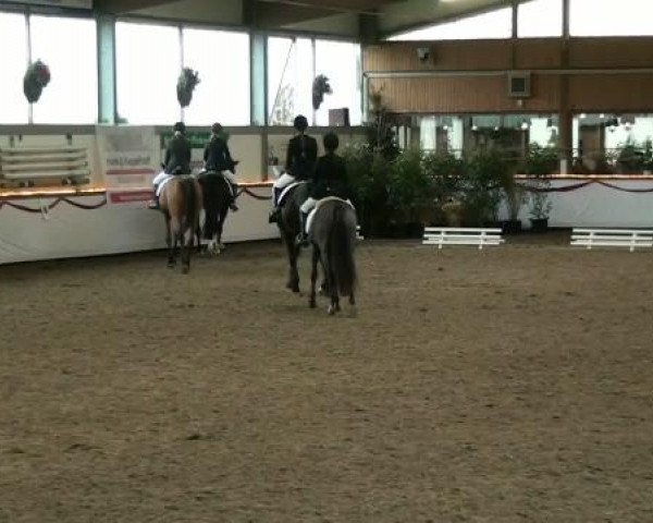 Hallenturnier beim RFV Südlohn-Oeding e.V. 2011