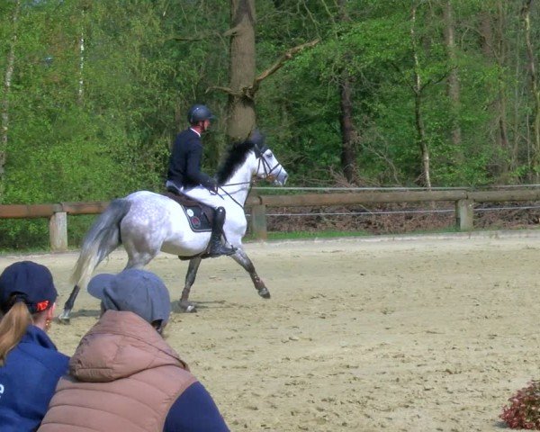 Reitturnier Rhede 2024