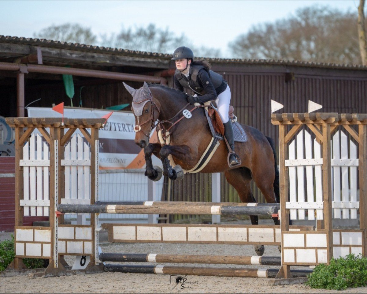 Springpferd Romeo's Juliet L (Westfale, 2018, von Romeo)