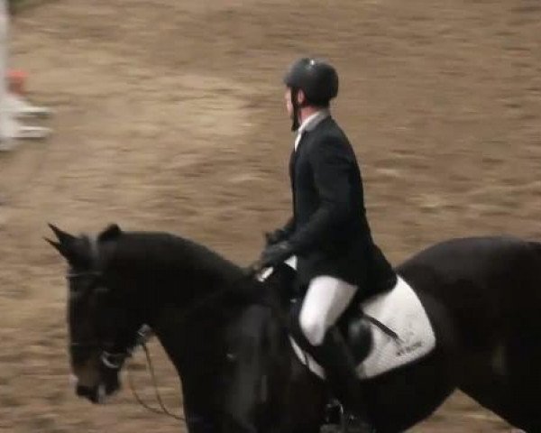 19. Winter Hallen Reit- und Springturnier 2011