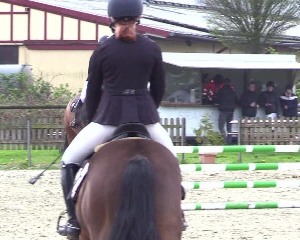 Reitturnier Breiholz "Am Moltkestein" 2024